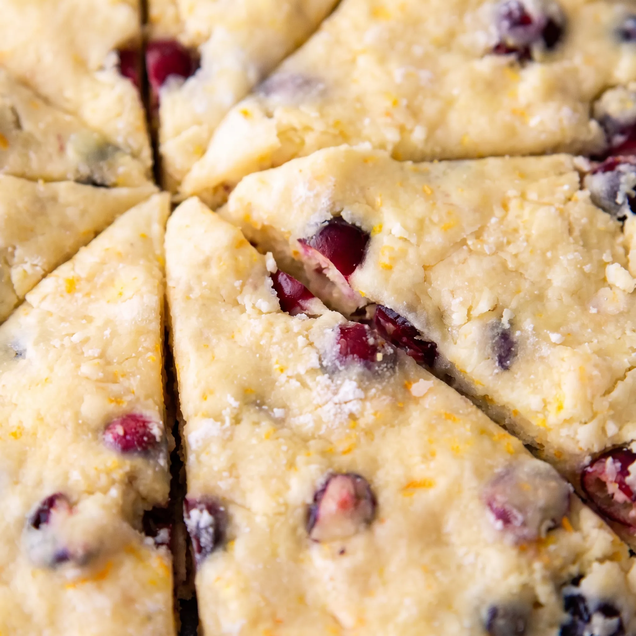 Golden scone crumb dotted with tart red cranberries, topped with glossy orange glaze.