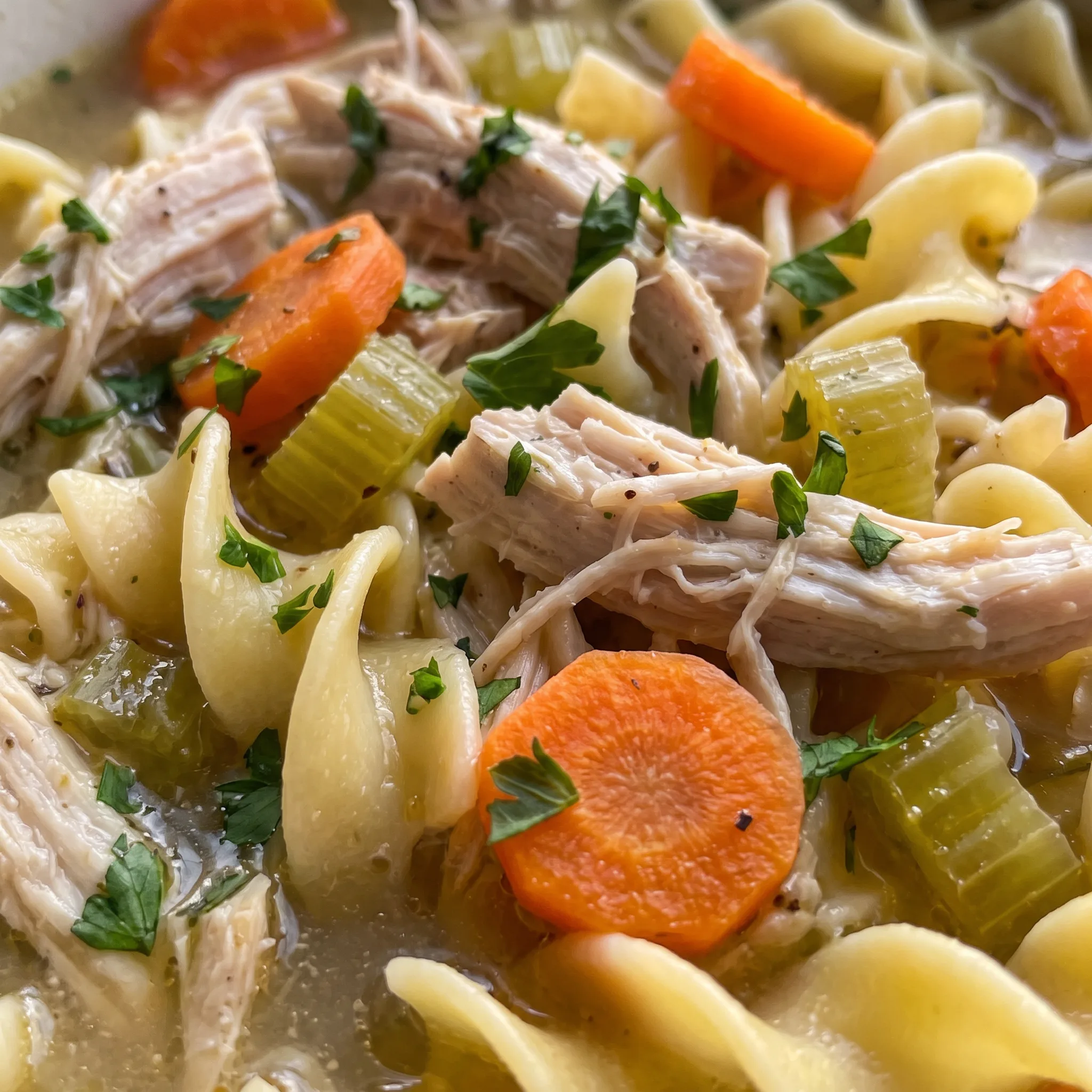 Wavy egg noodles and tender shredded chicken pieces in broth with soft carrot rounds and celery.